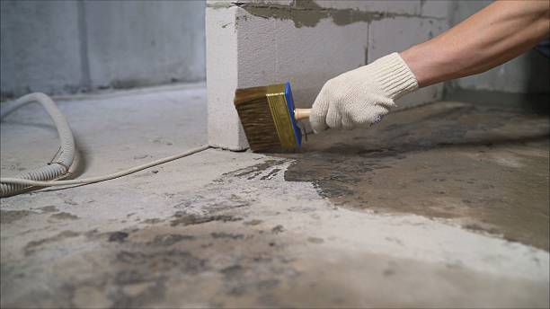 SJ Waterproofing Pros Emergency Waterproofing coverage map for Homer, MI and surrounding area